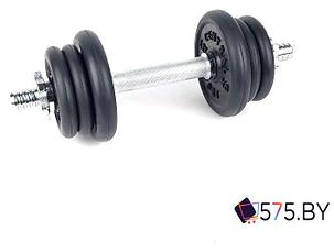 Гантель Central Sport 6 кг, фото 2