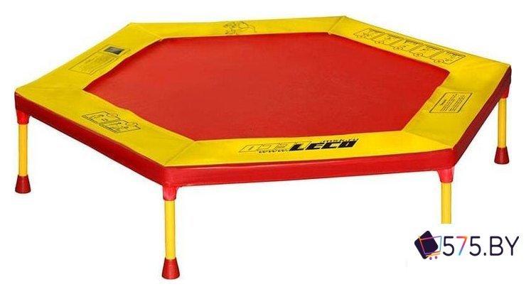 Батут Leco-IT Home 120см, фото 2