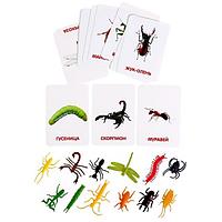 Развивающий набор с карточками IQ-ZABIAKA Мир насекомых