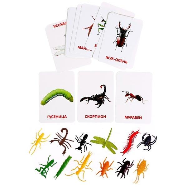 Развивающий набор с карточками IQ-ZABIAKA Мир насекомых - фото 3 - id-p192743500