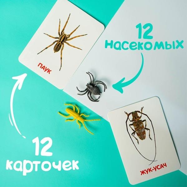 Развивающий набор с карточками IQ-ZABIAKA Мир насекомых - фото 1 - id-p192743500