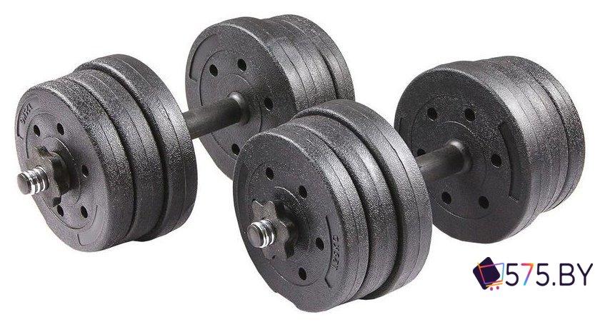 Набор гантелей TREX Sport Композитные 2x10.5 кг