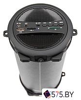 Беспроводная колонка Dialog AP-920, фото 2