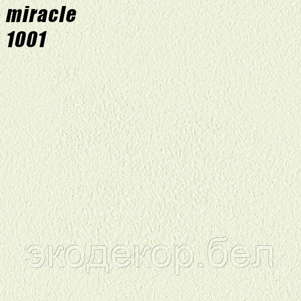 MIRACLE - 1001