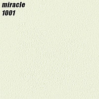 MIRACLE - 1001