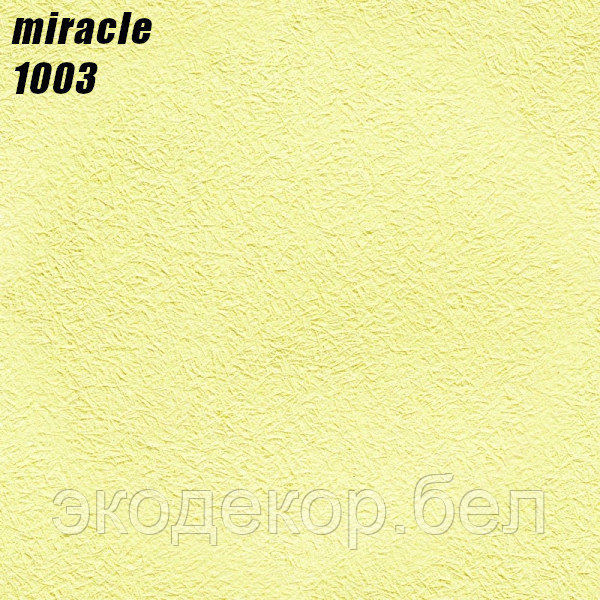 MIRACLE - 1003