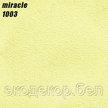 MIRACLE - 1003