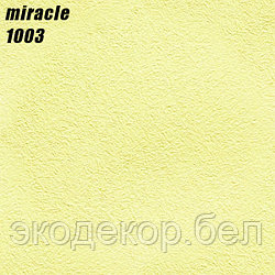 MIRACLE - 1003