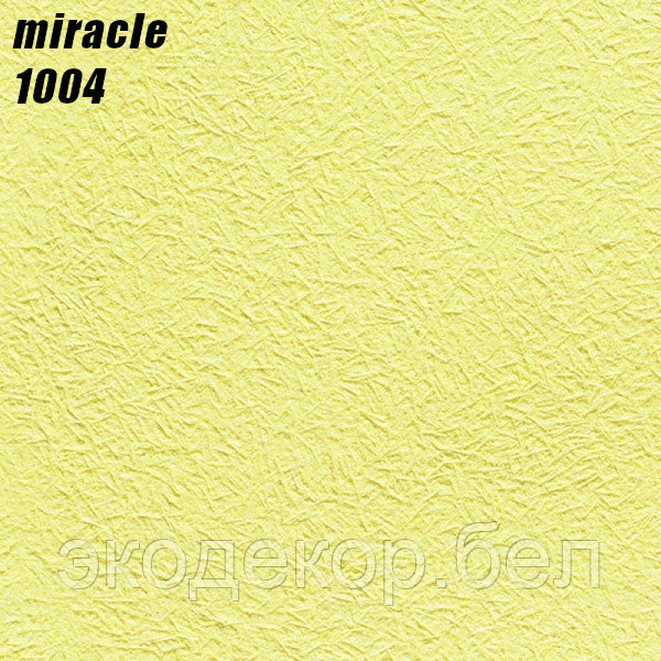 MIRACLE - 1004