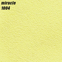 MIRACLE - 1004
