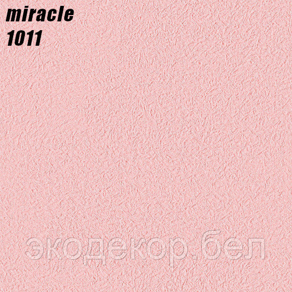 MIRACLE - 1011