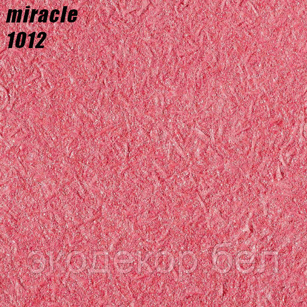 MIRACLE - 1012