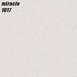 MIRACLE - 1017