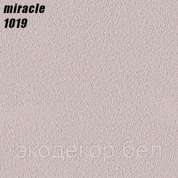 MIRACLE - 1019