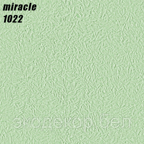 MIRACLE - 1022