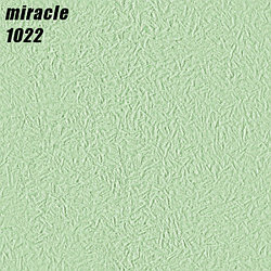 MIRACLE - 1022