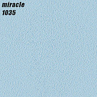 MIRACLE - 1035