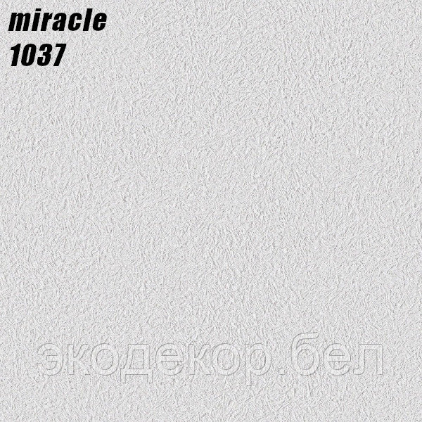 MIRACLE - 1037