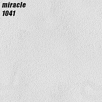 MIRACLE - 1041