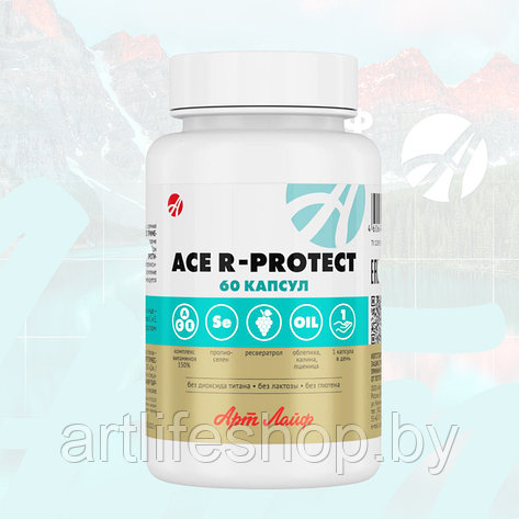 Высокоэффективный антиоксидантный комплекс ACE R-protect, фото 2