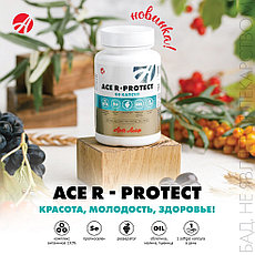Высокоэффективный антиоксидантный комплекс ACE R-protect, фото 2