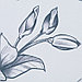 Штора "Этель" Magnolia. 145*260 см, 100% п/э, блэкаут, фото 2