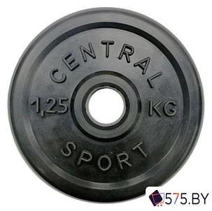 Штанга Central Sport 26 мм 18.5 кг, фото 2