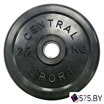 Штанга Central Sport 26 мм 55 кг, фото 3