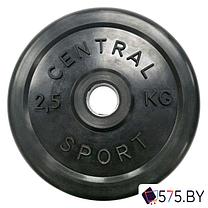 Штанга Central Sport 26 мм 80 кг, фото 3