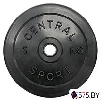 Штанга Central Sport 26 мм 23.5 кг, фото 2