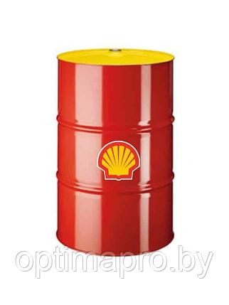 Масло вакуумное Shell Vacuum Pump Oil S2 R100 (20 л.), фото 2