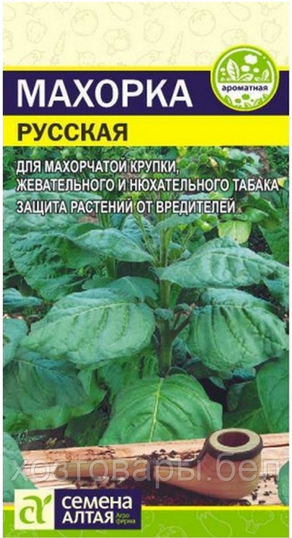 Купить Семена Табака В Рб
