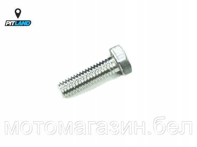 Комплект болтов тормозного диска (4шт.) SM-PARTS SM-DB08 - фото 1 - id-p193064634