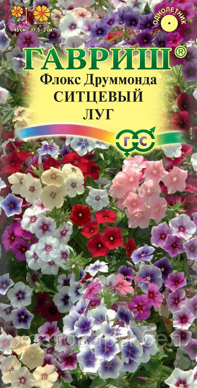 Флокс Ситцевый Луг друмонда 0,1 г Одн смесь 40см (Гавриш) - фото 1 - id-p193068790