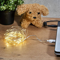 Гирлянда «Роса» 5 м, 50 LED, USB, теплое белое свечение NEON-NIGHT, фото 3