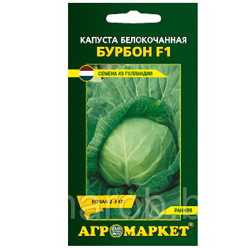 Капуста белокочанная Бурбон F1, 15шт