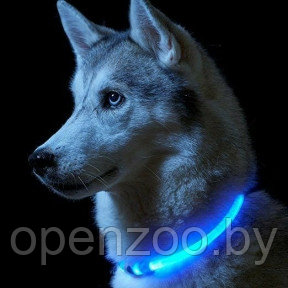 Светящийся ошейник для собак (3 режима, зарядка USB) Синий (Blue), размер М - фото 1 - id-p138959021