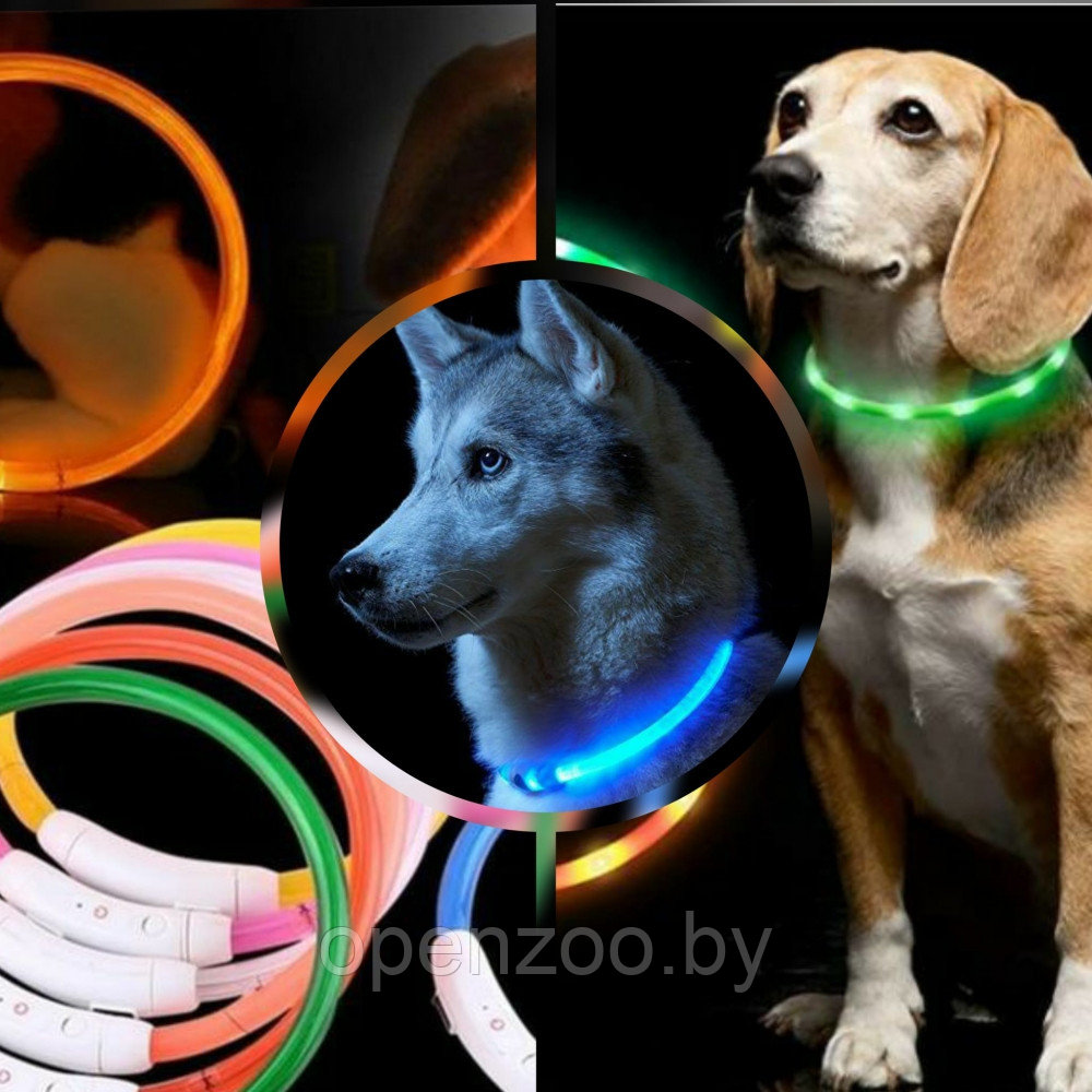 Светящийся ошейник для собак (3 режима, зарядка USB) Синий (Blue), размер М - фото 2 - id-p138959021