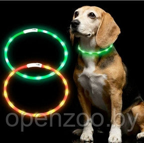 Светящийся ошейник для собак (3 режима, зарядка USB) Зеленый (Green), размер М - фото 1 - id-p138959022