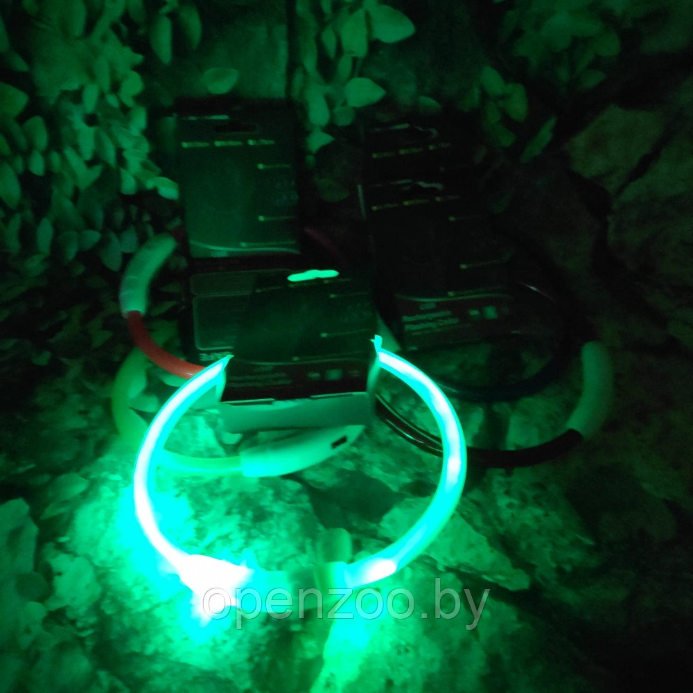 Светящийся ошейник для собак (3 режима, зарядка USB) Зеленый (Green), размер М - фото 7 - id-p138959022