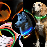 Светящийся ошейник для собак (3 режима, зарядка USB)  Синий (Blue), размер М, фото 2