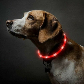 Светящийся ошейник для собак (3 режима, зарядка USB) Красный (Red), размер М - фото 1 - id-p138960337