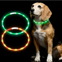 Светящийся ошейник для собак (3 режима, зарядка USB)  Зеленый (Green), размер М