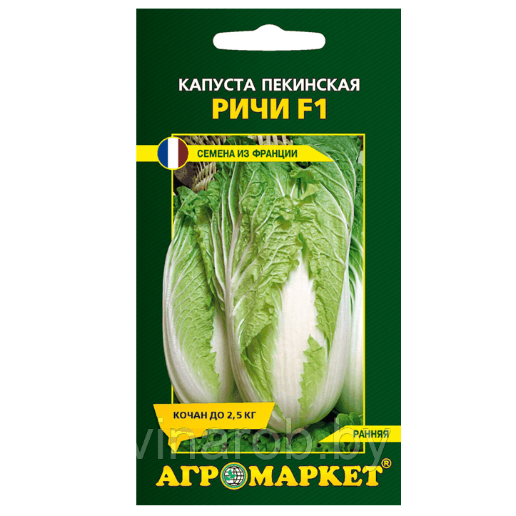 Капуста пекинская Ричи F1,15 шт, уп (до 08.2024)