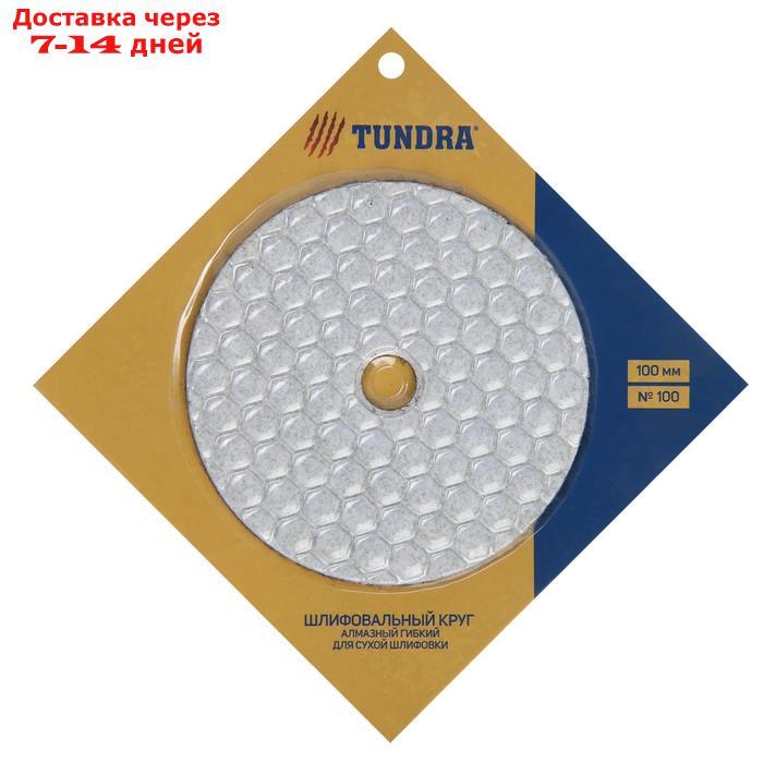 Алмазный гибкий шлифовальный круг TUNDRA "Черепашка", для сухой шлифовки, 100 мм, № 100 - фото 4 - id-p193153340
