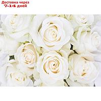 Фотообои "Белые розы" (8 листов), 280х200 см