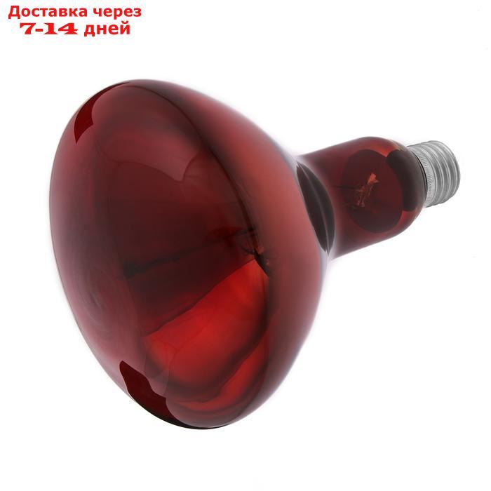 Лампа инфракрасная, 250 Вт, Е 27, 220В, длина волны 2500 нм, красная колба - фото 1 - id-p193152641