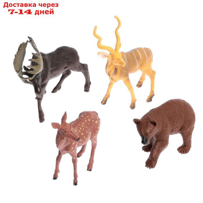 Набор животных "Лесные звери", 4 фигурки - фото 1 - id-p192746448
