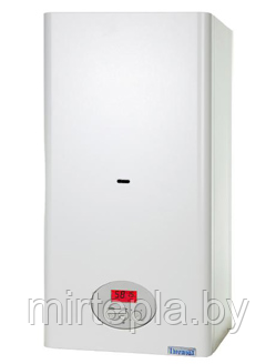 Газовый котел Thermona THERM 23 CL