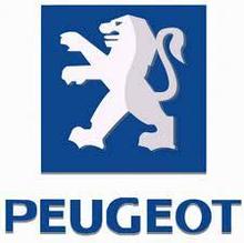 Брызговики для Peugeot / Пежо /